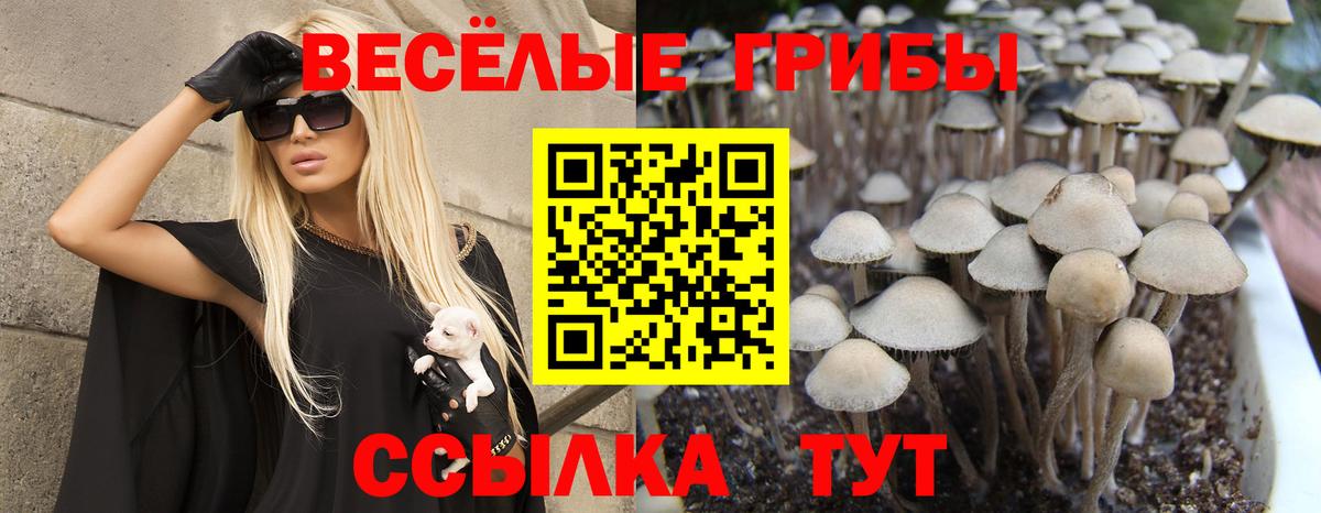 Галлюциногенные грибы мицелий  Вход с VPN  Алапаевск 